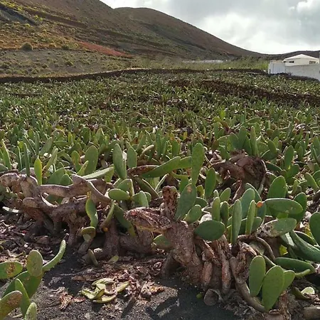 Hébergement de vacances Bayside Kalendra Jable Encuentra Paz En La Naturaleza Salvaje Guatiza